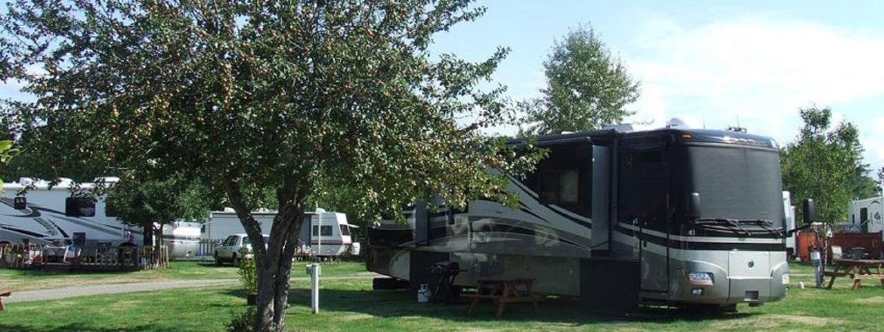 Orchard Queen Motel&Rv Park Middleton Exterior foto